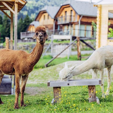 Alpenchalet Alpakablick Санкт Лоренцен об Мурау Екстериор снимка